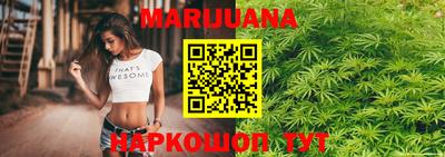 прущие крисы Моздок