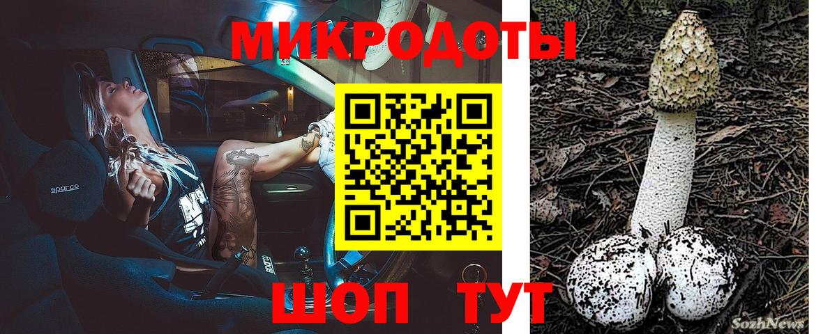 Галлюциногенные грибы Psilocybe Белорецк