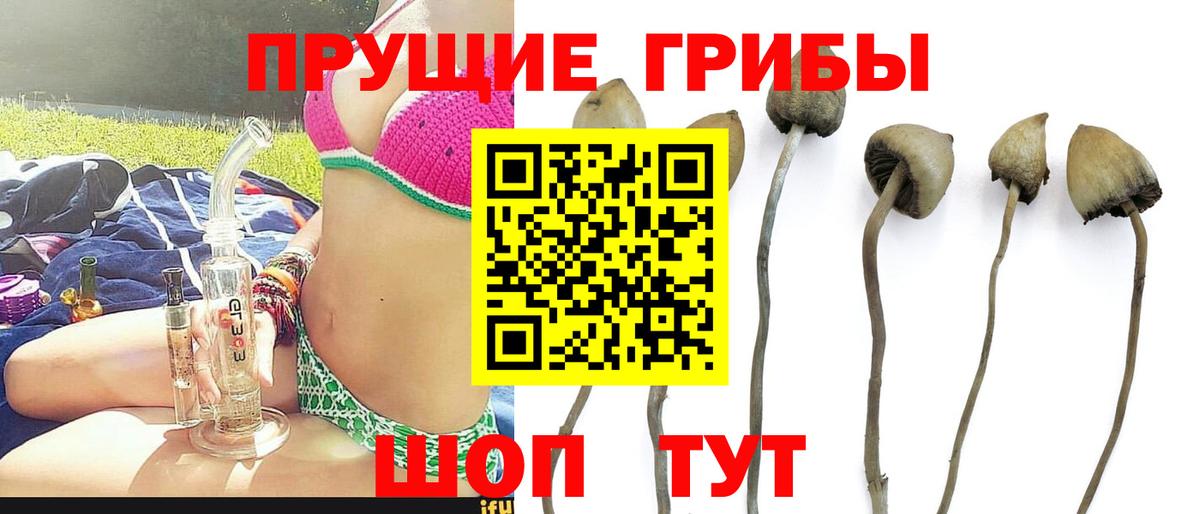 Галлюциногенные грибы ЛСД  Галлюциногенные грибы GOLDEN TEACHER  Вход с VPN  Белорецк 